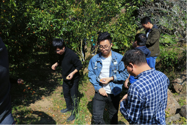 K8凯发旗舰厅(中国)官方网站